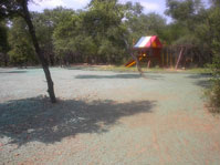 Hydroseeding Before