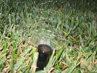 Vega Septic performs sprinkler services.